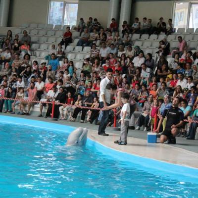 Dolphinarium 03