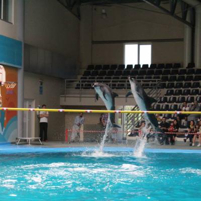 Dolphinarium 04