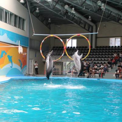 Dolphinarium 06