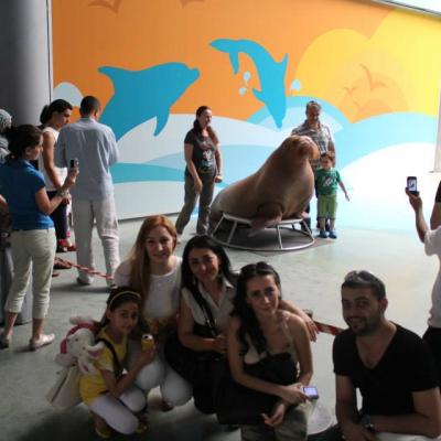 Dolphinarium 12
