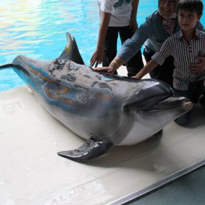 Dolphinarium Gezi Resimleri